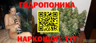 наркотики Будённовск