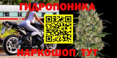 наркотики Будённовск
